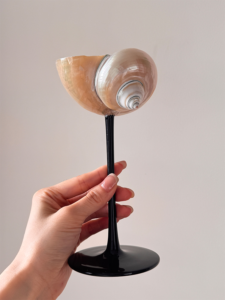 Luxury Gift Set - Natural Conch Shell Champagne Glass with